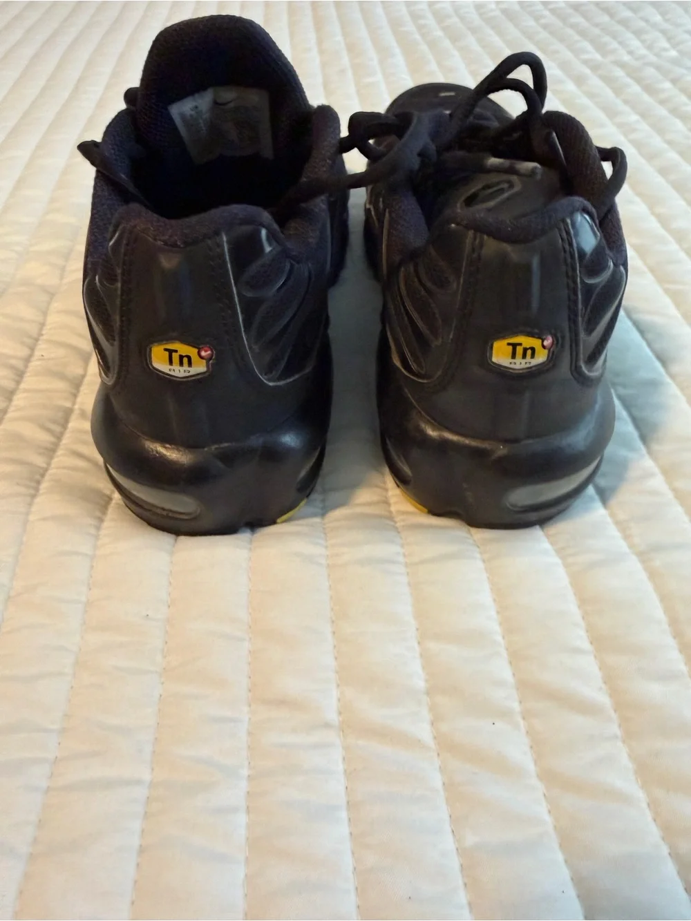 Nike Air Max Plus Black Kids' Mesh Athletic Sneakers
